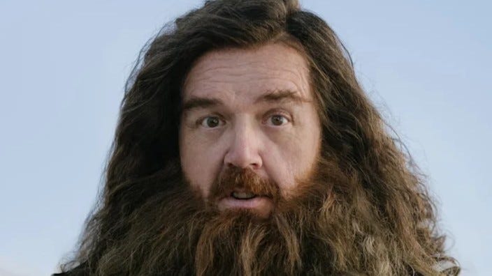 HBO's New Harry Potter Series Won't Please Everyone, Hagrid Actor Nick Frost Says