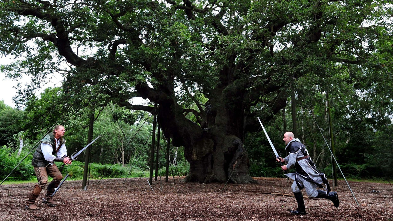 Robin Hood's Tree Declared Dead